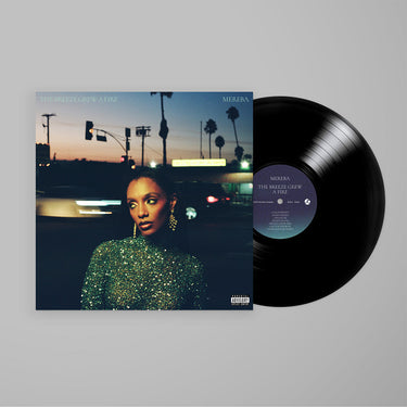 MEREBA - The Breeze Grew A Fire - LP - Black Vinyl [FEB 14]