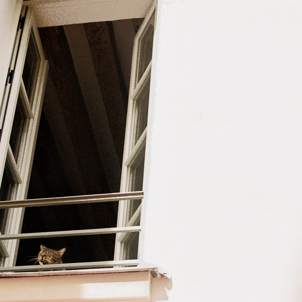 M(H)AOL - Something Soft - LP - Black Vinyl