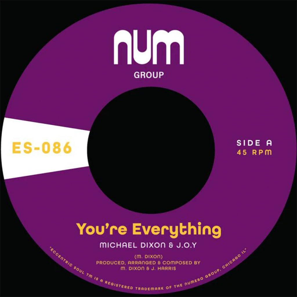 MICHAEL A. DIXON & J.O.Y. - You're Everything b/w You're All I Need - 7'' - Opaque Purple Vinyl
