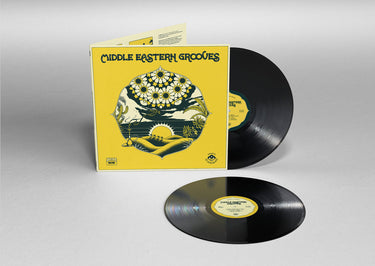 VARIOUS - Middle Eastern Grooves (Selected By DJ Kobayashi) - 2LP - Gatefold Vinyl