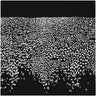 Black Vinyl LP