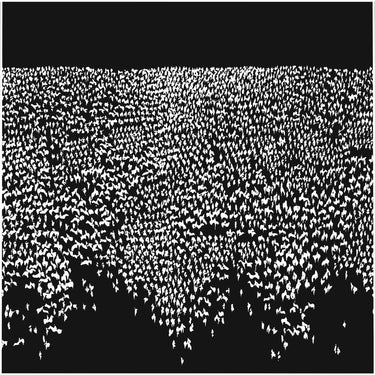 Black Vinyl LP