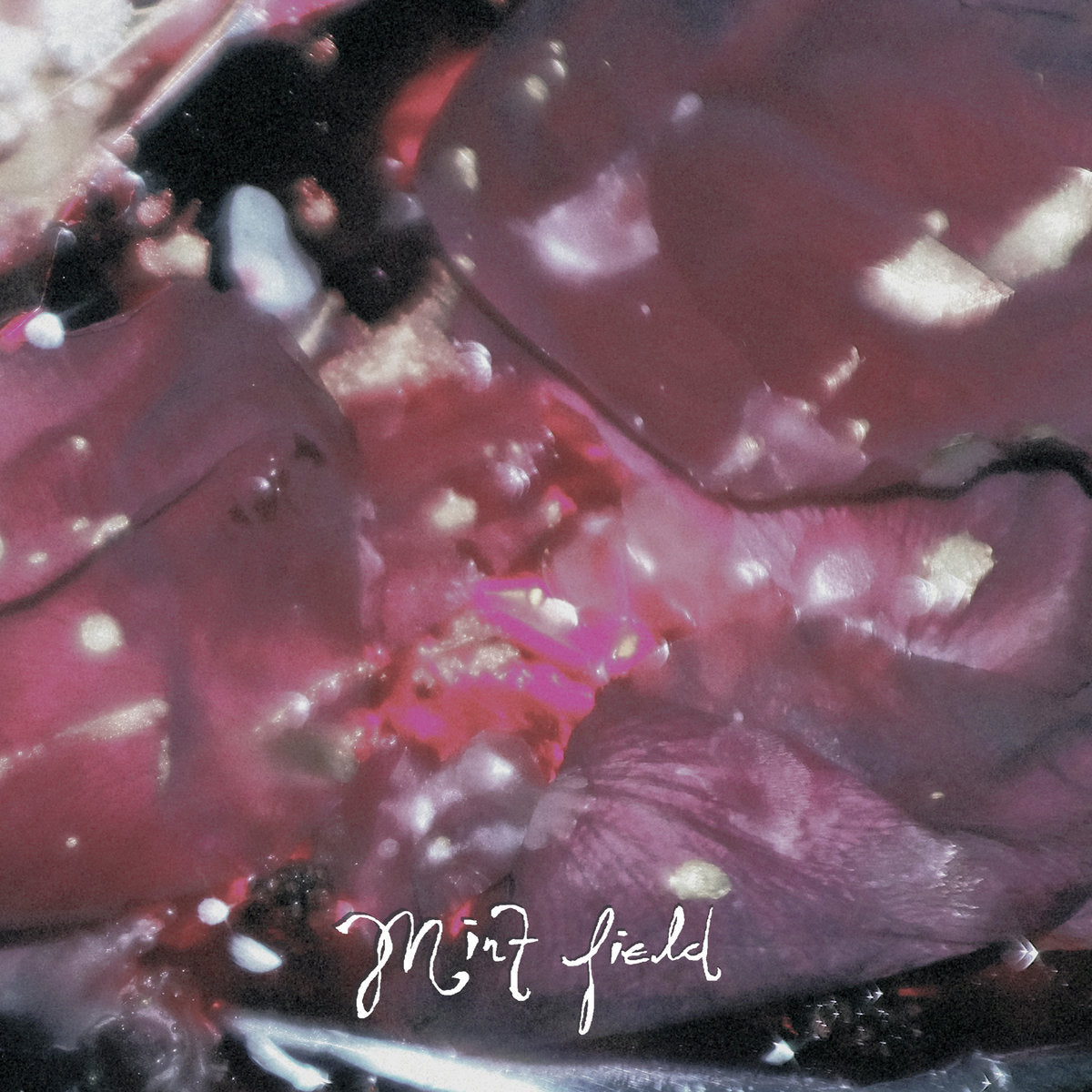 MINT FIELD - Aprender a Ser - LP - Fruit Punch Colour Vinyl [OCT 27]