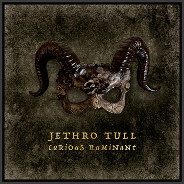 JETHRO TULL - Curious Ruminant (Deluxe) - 2CD & Blu-Ray in Artbook [MAR 7]