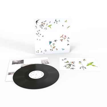 MODERN NATURE - No Fixed Point In Space - LP - Black Vinyl