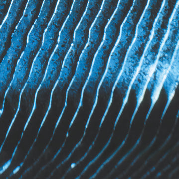 MONOLAKE - Gravity (Reissue) - 2LP - Vinyl [MAY 2]