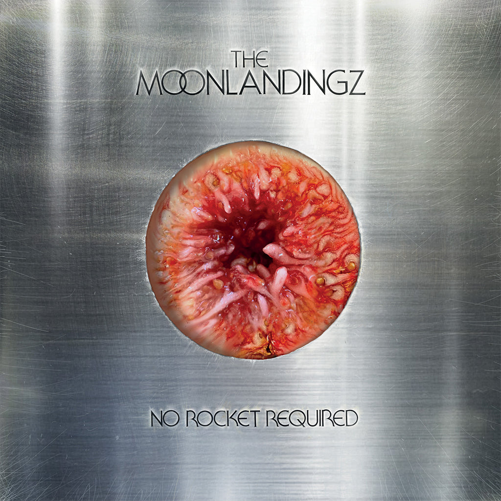 THE MOONLANDINGZ - No Rocket Required (in Die-Cut Sleeve) - LP - Neon Pink Vinyl [APR 25]