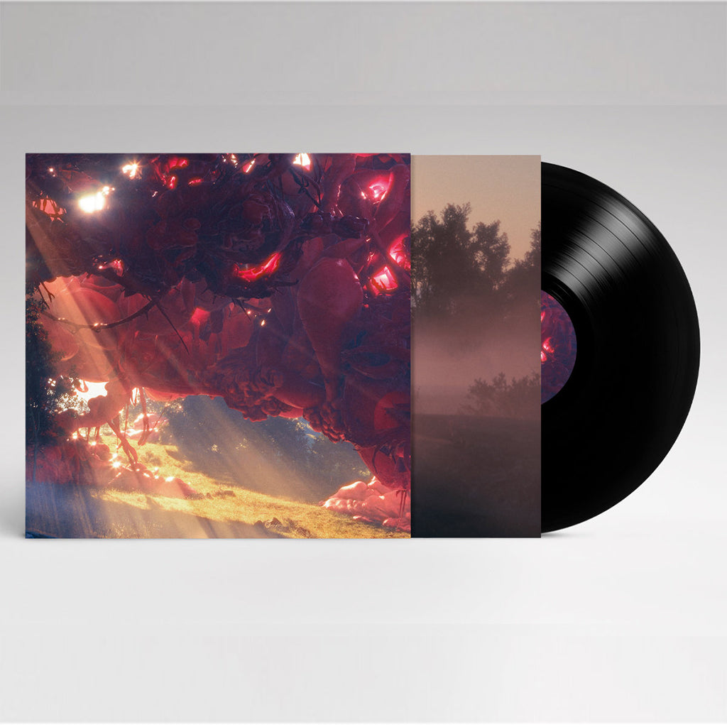 MURCOF - Twin Color - LP - Vinyl