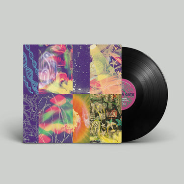 NAP EYES - The Neon Gate - LP - Vinyl
