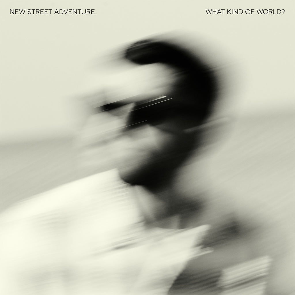 NEW STREET ADVENTURE - What Kind Of World? - CD [AUG 29]