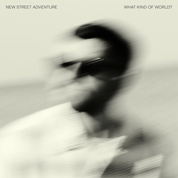 NEW STREET ADVENTURE - What Kind Of World? - CD [AUG 29]