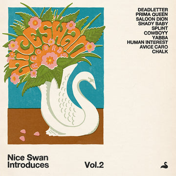VARIOUS - Nice Swan Introduces Vol. 2 - LP - Vinyl