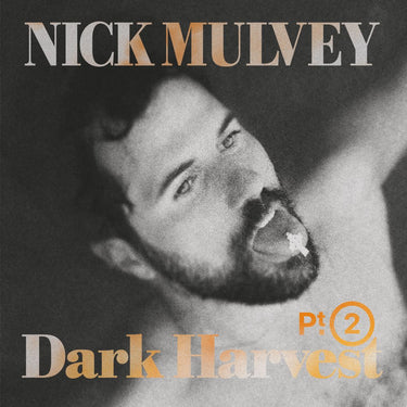 NICK MULVEY – Dark Harvest Pt. 2 - LP - Gold Vinyl