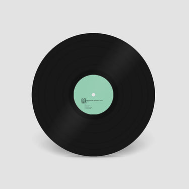 NINA GARCIA - Bye Bye Bird - LP - Vinyl [FEB 21]