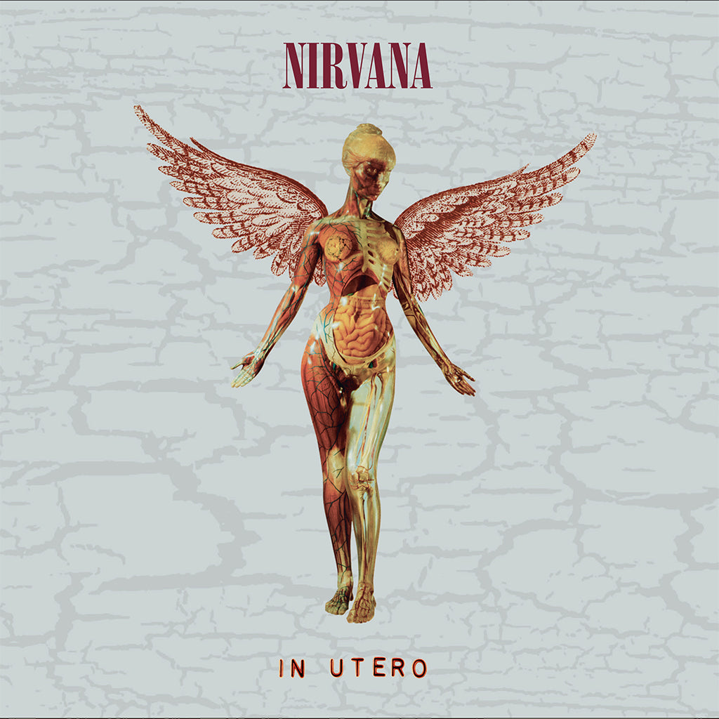 NIRVANA - In Utero (30th Anniversary Super Deluxe Edition) - 5CD - Box Set [OCT 27]