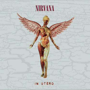 NIRVANA - In Utero (30th Anniversary Super Deluxe Edition) - 8LP - 180g Vinyl Box Set
