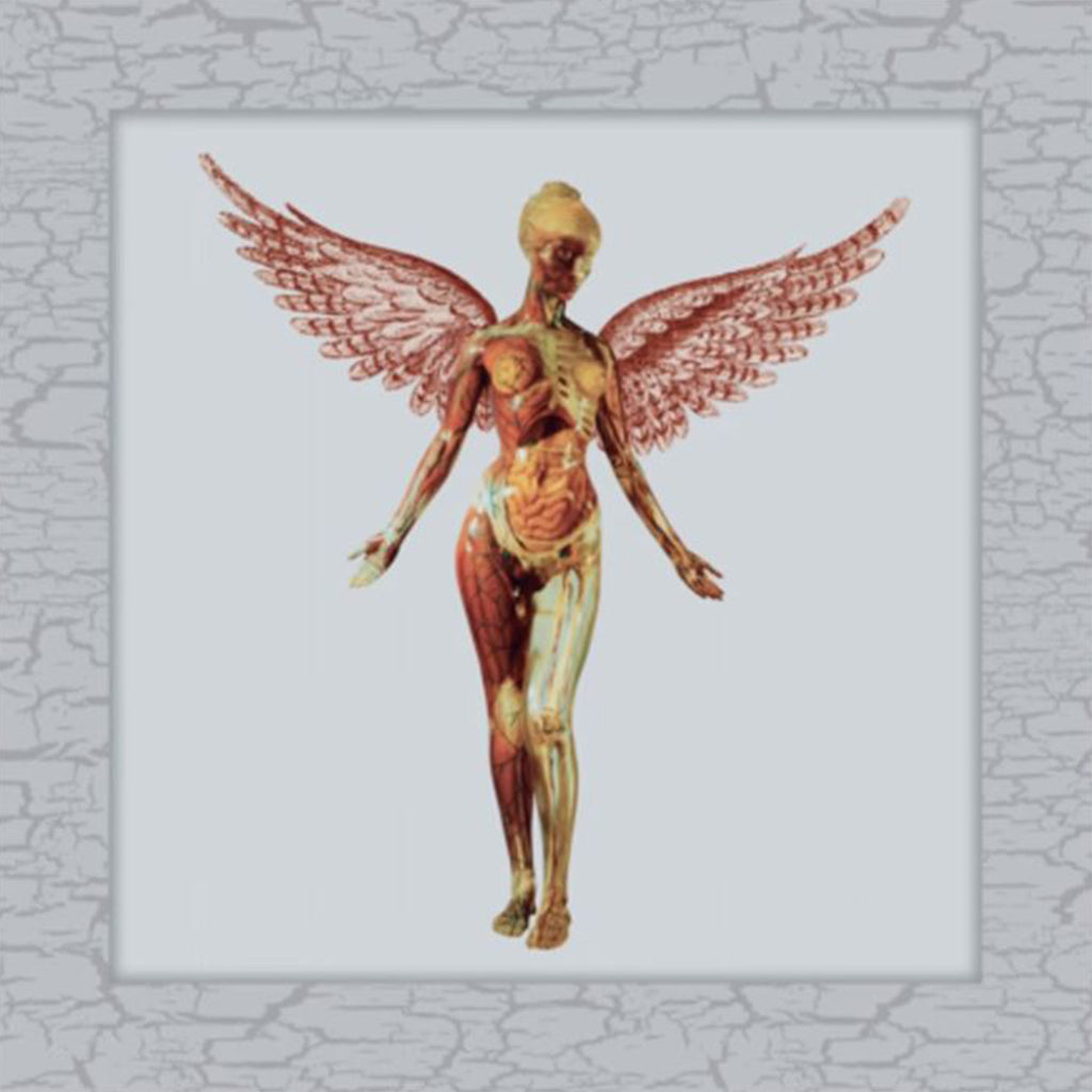 NIRVANA - In Utero (30th Anniversary Super Deluxe Edition) - 8LP - 180g Vinyl Box Set