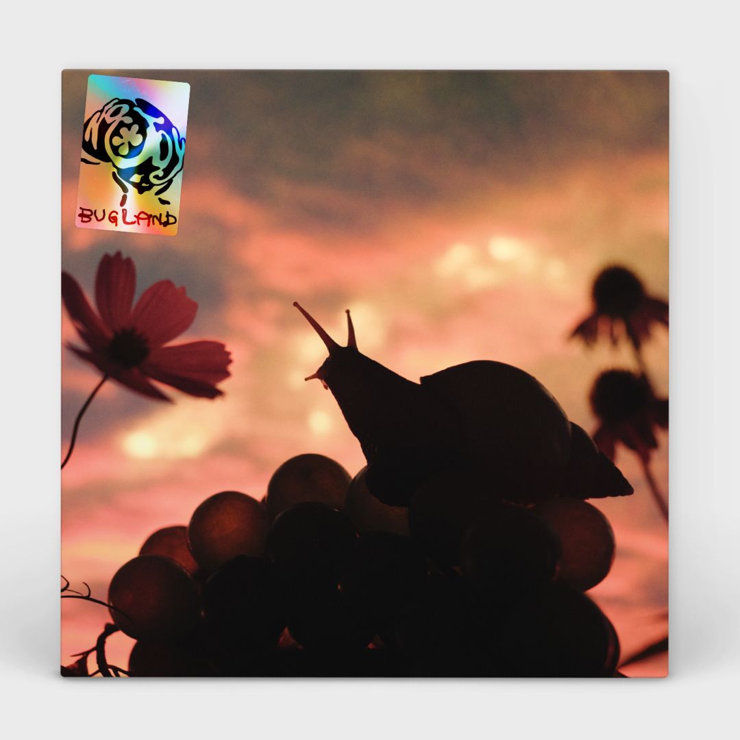 NO JOY - Bugland (with fold-out lyric poster) - LP - 'Exoskeleton Blue' Colour Vinyl [AUG 8]