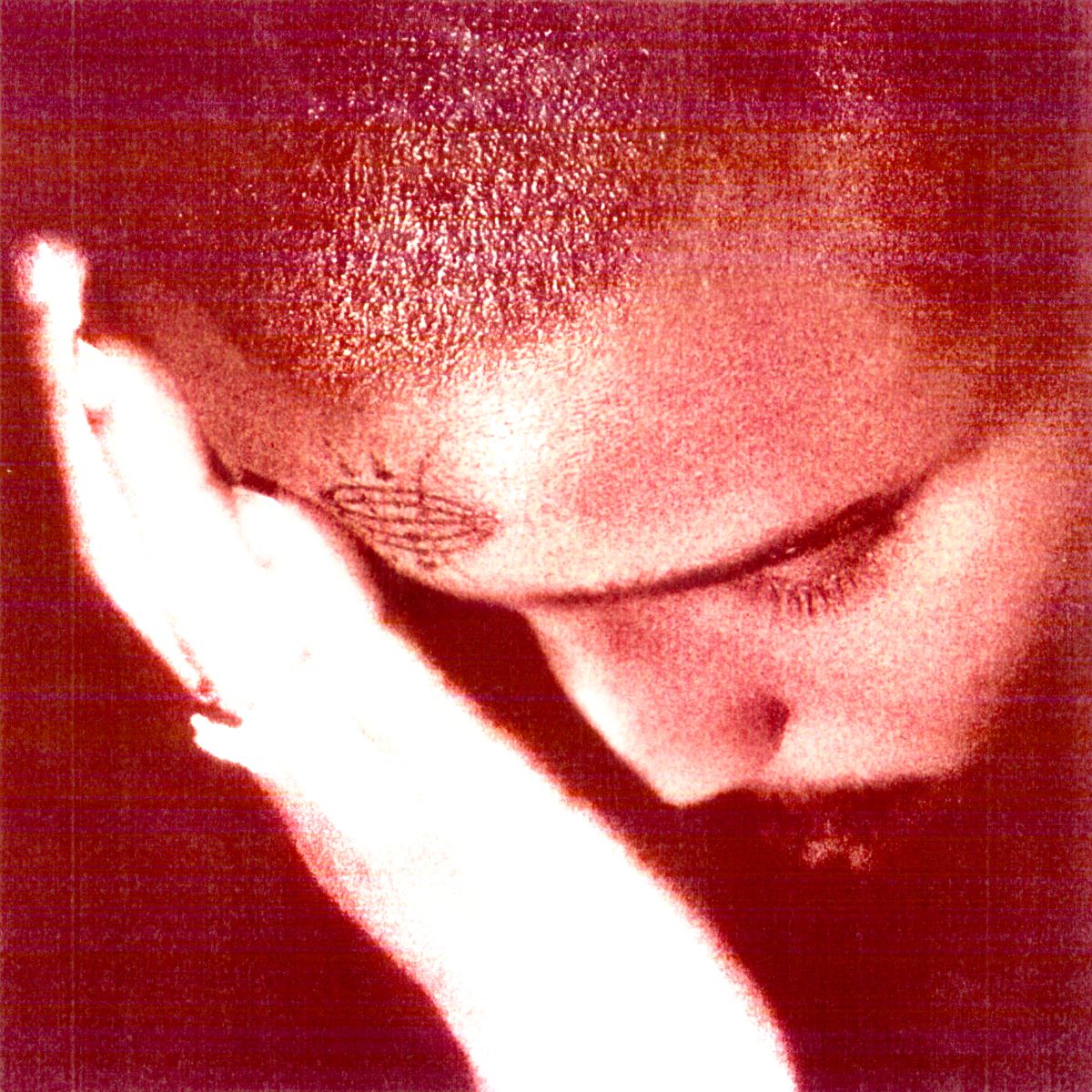 NOURISHED BY TIME - The Passionate Ones - CD