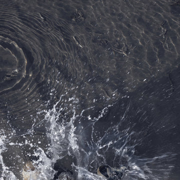 of all living things - Cold Plunge - 12" EP - Vinyl