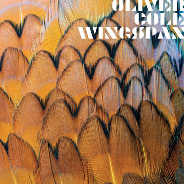 OLIVER COLE - Wingspan