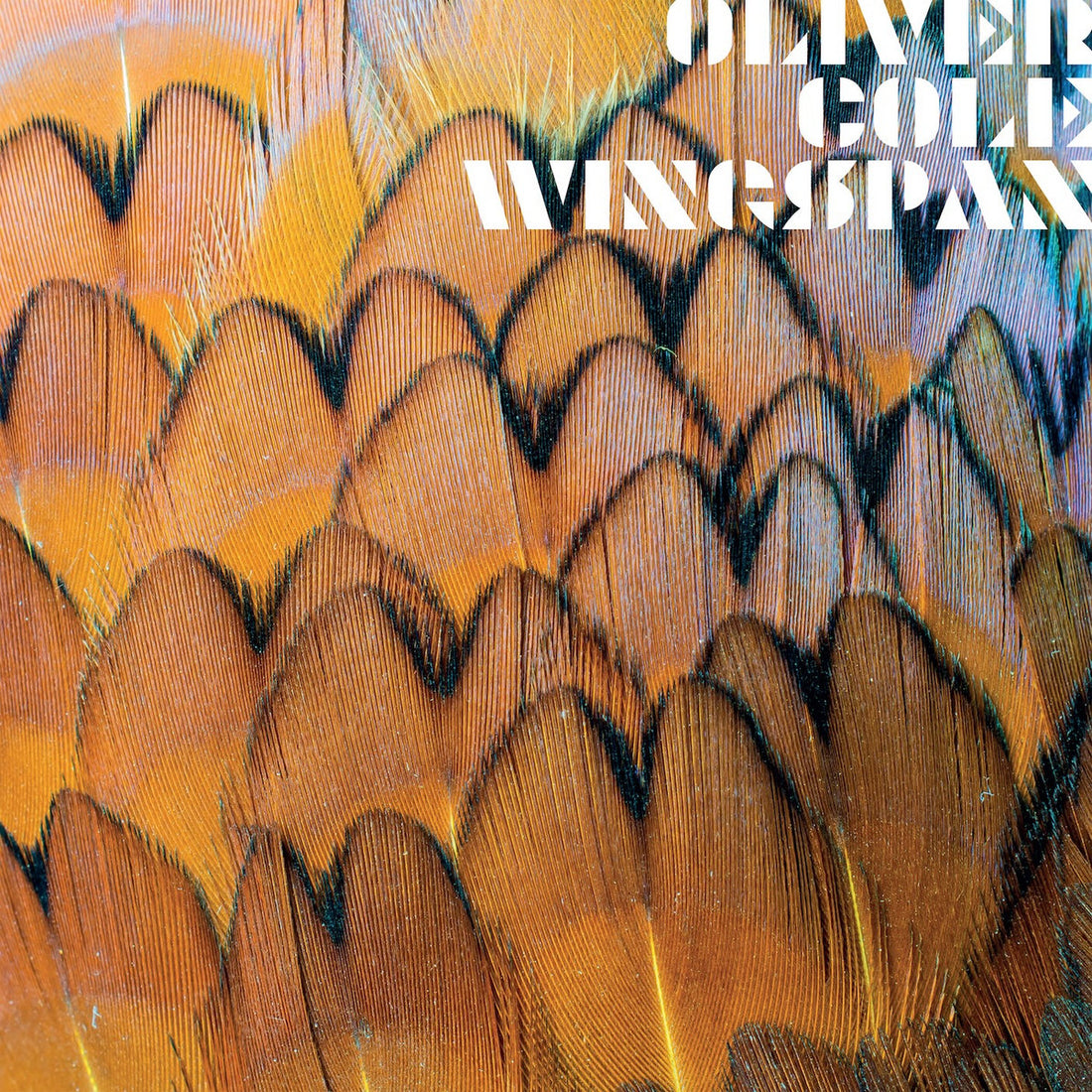 OLIVER COLE - Wingspan - LP - Seville Orange Vinyl