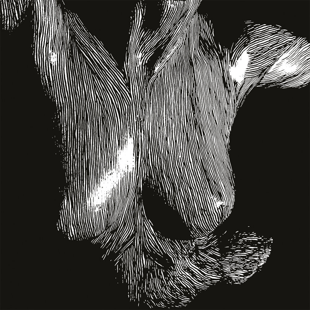 OCEANSIZE - Self Preserved While The Bodies Float Up (15th Anniversary Edition) [National Album Day 2025] - 3LP - Gatefold Black Vinyl [OCT 18]