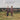 THE OCELOTS - Everything, When Said Slowly - LP - Vinyl