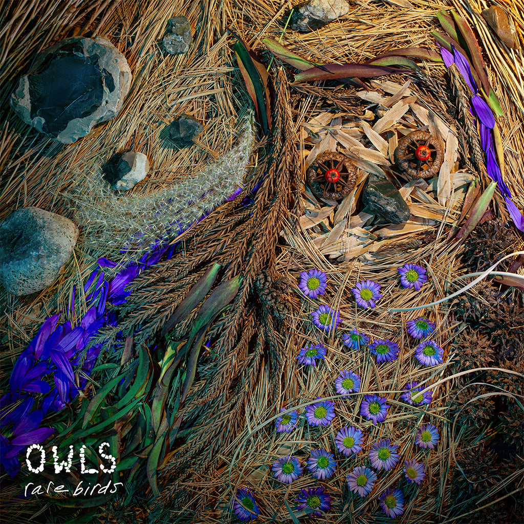 OWLS - Rare Birds - LP - Vinyl [NOV 7]