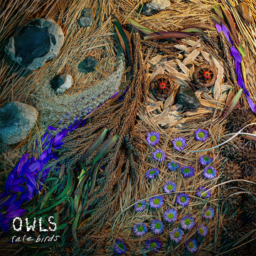 OWLS - Rare Birds - LP - Vinyl [NOV 7]