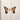 PARAMORE - Brand New Eyes - LP - Black Vinyl