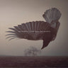 Katatonia - The Fall Of Hearts (10th Anniversary Pearl Dawn)