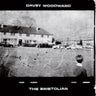 Davey Woodward - The Bristolian