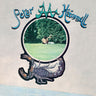 Peter Hammill - Chameleon In The Shadow Of The Night (2026 Reissue)