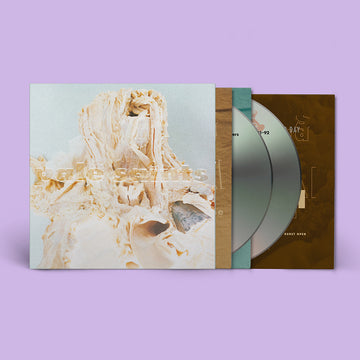 PALE SAINTS - In Ribbons (Expanded 30th Anniversary Reissue) - 2CD