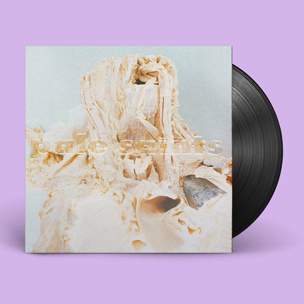 PALE SAINTS - In Ribbons (30th Anniversary Reissue) - LP - Black Vinyl [OCT 6]