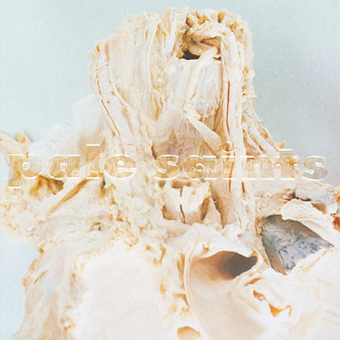 PALE SAINTS - In Ribbons (Expanded 30th Anniversary Reissue) - 2CD