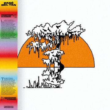 VARIOUS - Pasé Bél Tan : Francophonies & Creolities In Louisiana - 2LP - Vinyl [SEP 19]