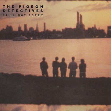 THE PIGEON DETECTIVES - Still Not Sorry - The Best Of... - 2LP - Purple & Black Marble Vinyl