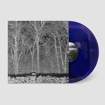 PILE - Sunshine And Balance Beams - LP - Transparent Mix Boris Purple Vinyl