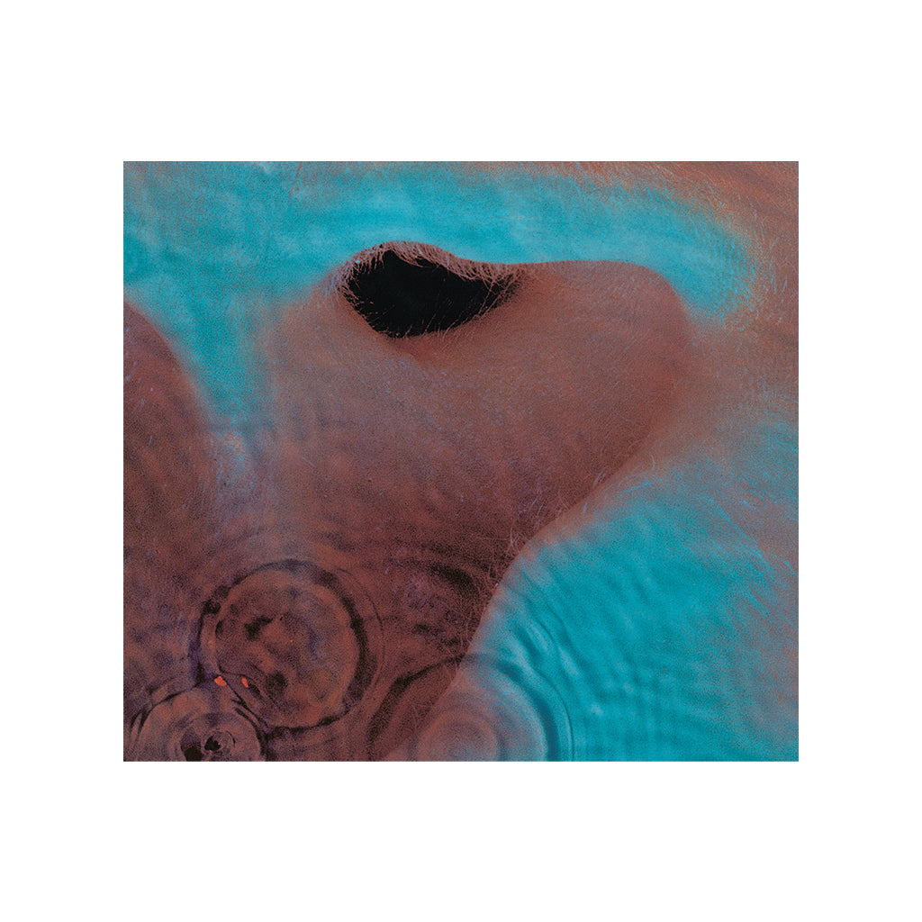 PINK FLOYD - Meddle (Reissue) - CD [JUN 27]