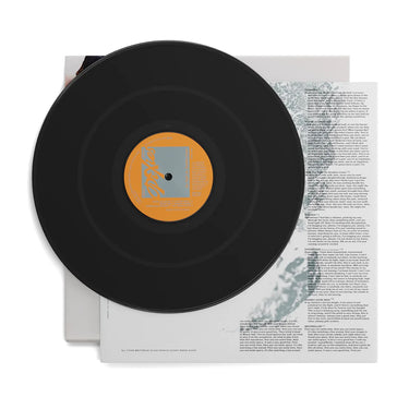 PIXIES - The Night The Zombies Came - LP - Black Vinyl [OCT 25]
