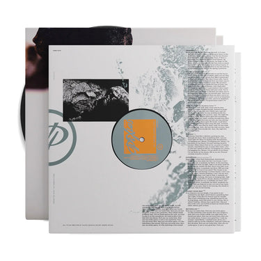 PIXIES - The Night The Zombies Came - LP - Black Vinyl [OCT 25]