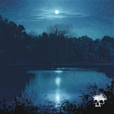 PLANES MISTAKEN FOR STARS - Do You Still Love Me? - LP - Blue/Black Galaxy Vinyl [NOV 1]