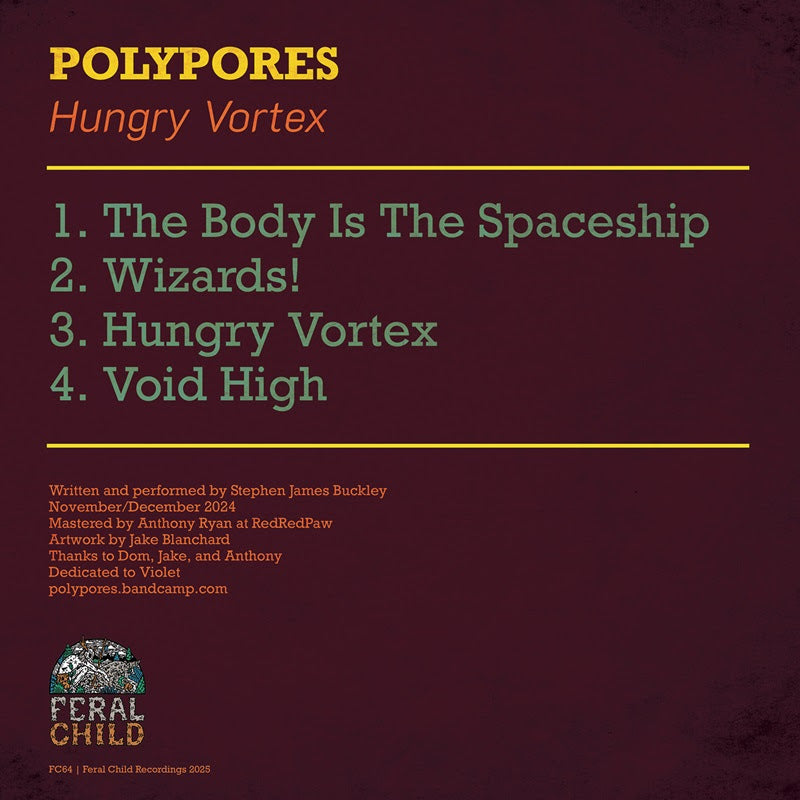 POLYPORES - Hungry Vortex - LP - Vinyl [DEC 12]