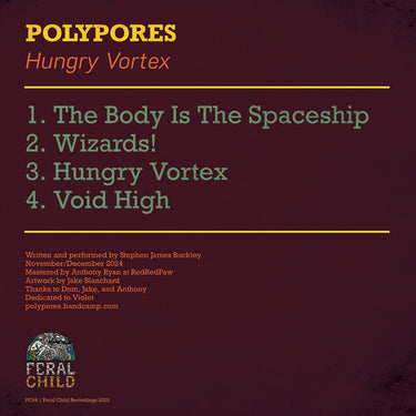 POLYPORES - Hungry Vortex - LP - Vinyl [JAN 23]