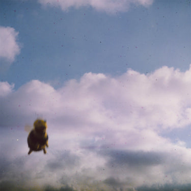 POND - Stung! (with SIGNED Print) - 2LP - 180g Splatter Bee Vinyl