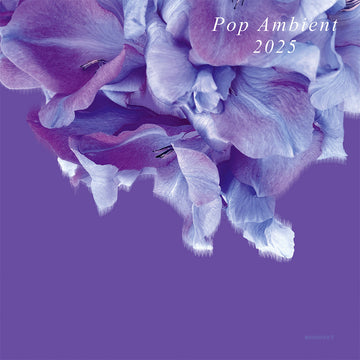 VARIOUS - Pop Ambient 2025 - LP - Vinyl [DEC 6]