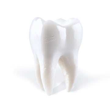 PORIJ - Teething - LP - Vinyl