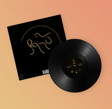 QASU - A Bleak King Cometh - LP - Black Vinyl [JAN 30]
